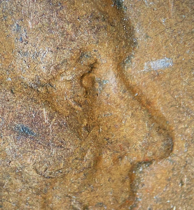 1942-Lincoln-Wheat-Cent-Doubled-Die---DDO-002,-FS-101
