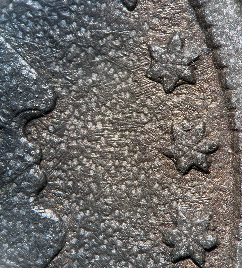 1897-Barber-Quarter-Counterfeit---Cast-4.58g