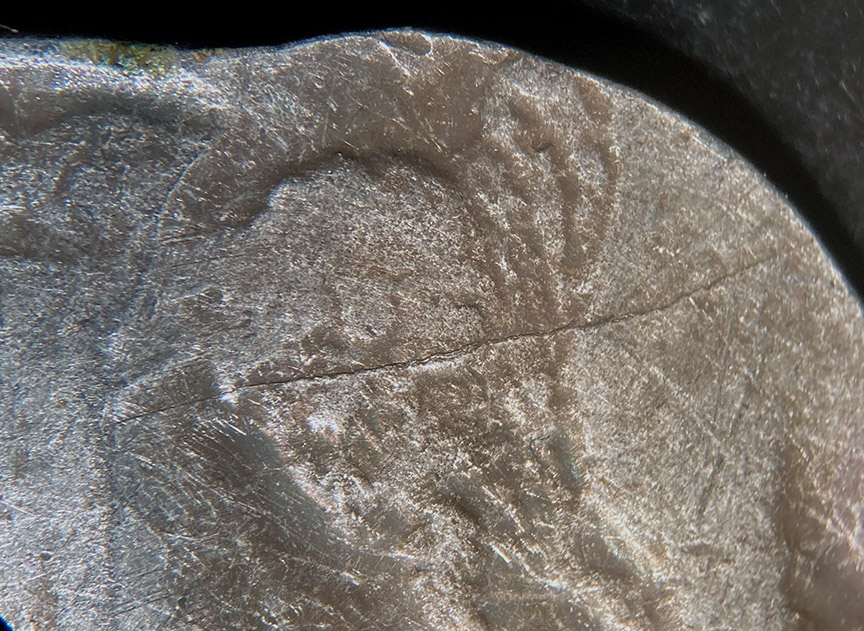 1921-S-Buffalo-Nickel-Flip-Over-Double-Strike---Counterfeit