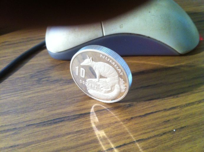 Fat-Coin