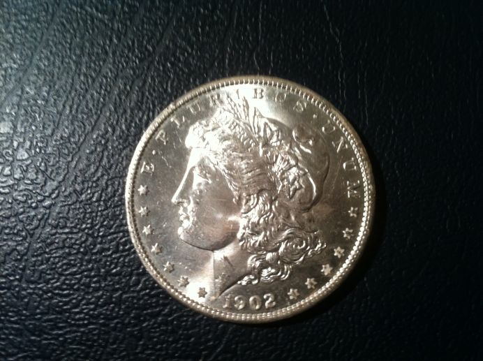 Couple-Of-Morgans