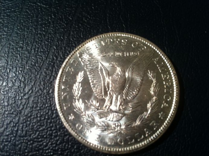 Couple-Of-Morgans
