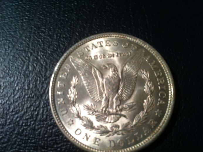 Couple-Of-Morgans