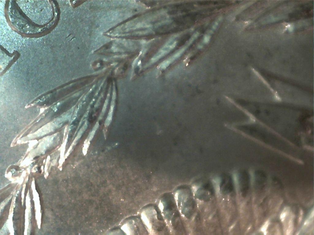 Couple-Of-Morgans