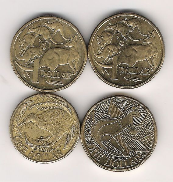 Noodling-Find-Of-The-Week?