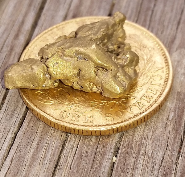 Heritage-Is-Auctioning-Off-Gold-Nuggets--In-Their-Coin-Auction