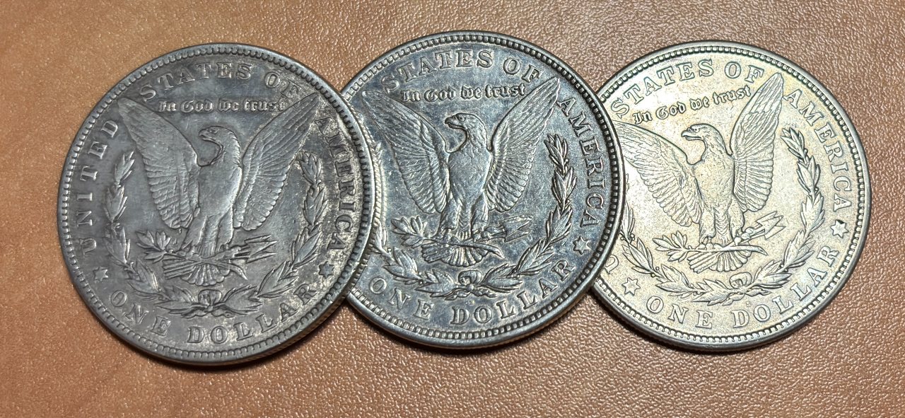 Morgan-Dollars-Among-Possessions