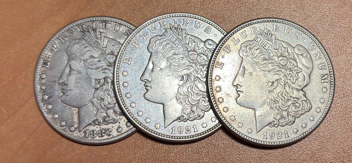 Morgan-Dollars-Among-Possessions