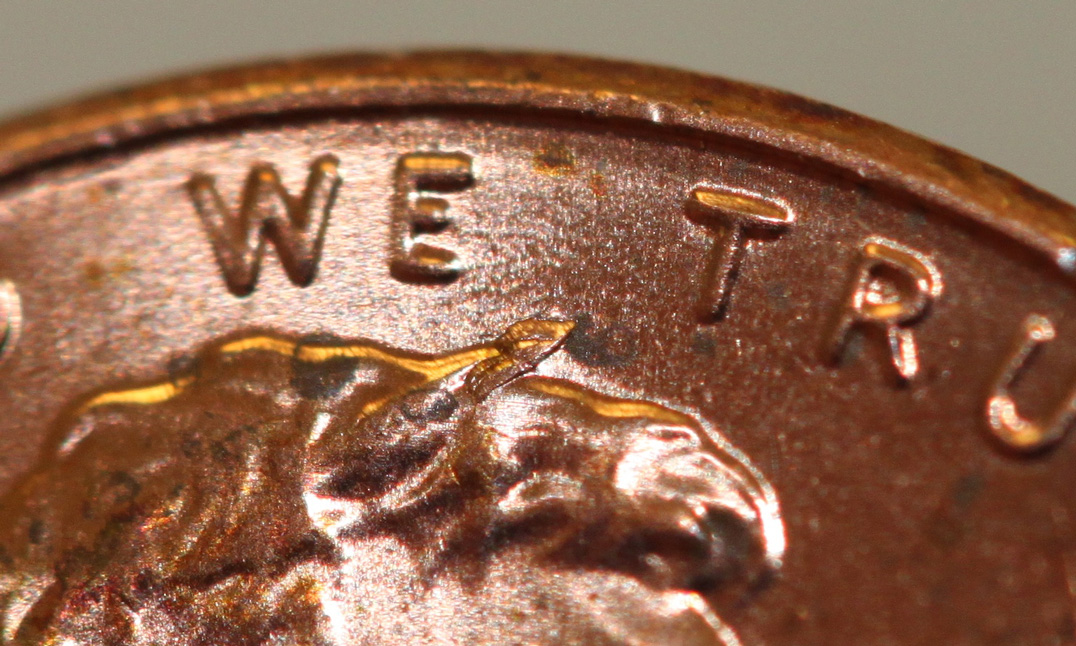 2015-P-Lincoln-Cowlick-DDO?