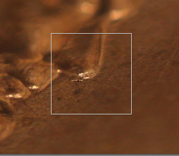 1958-Lincoln-Cent-Eye-&-Tie-Errors