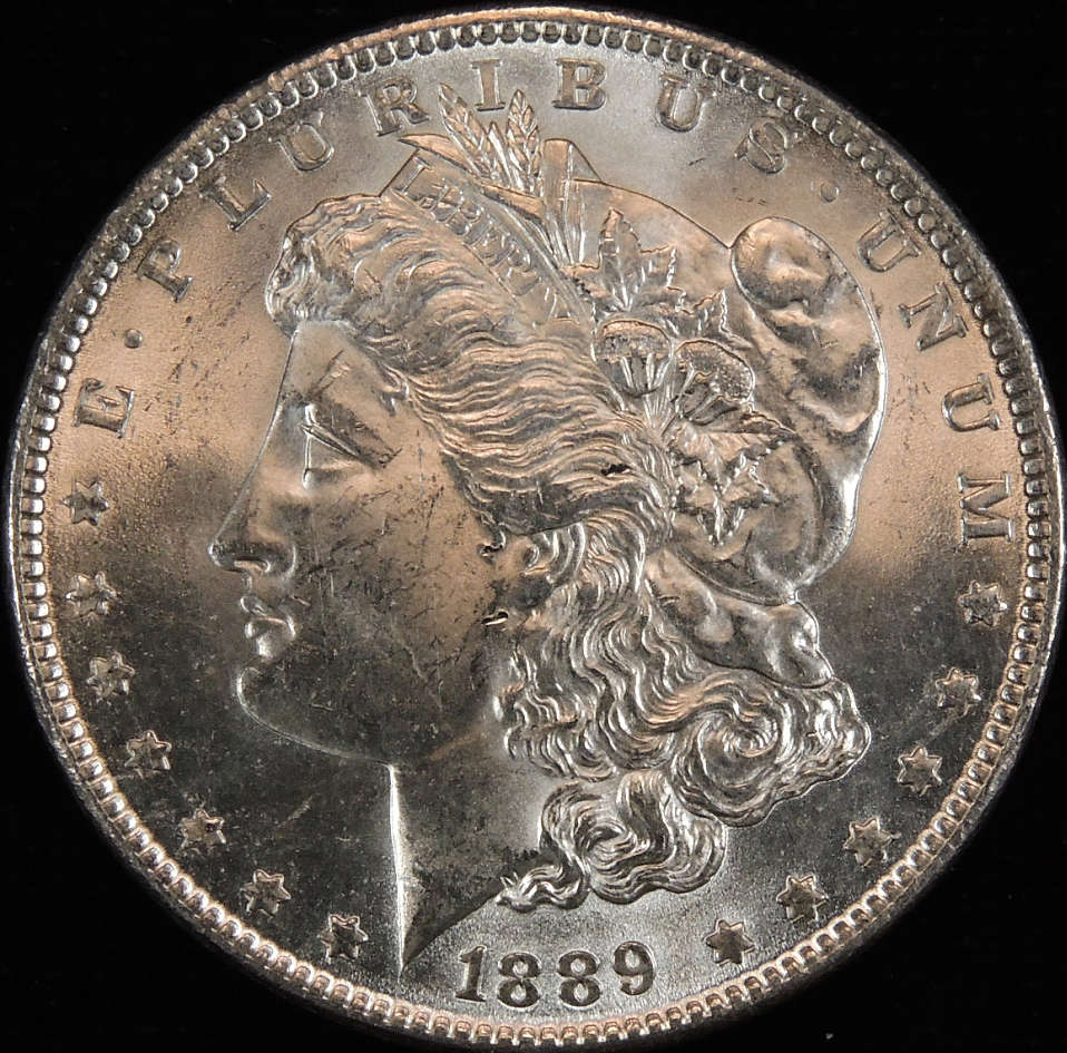 1889-Morgan-For-Grading.--Tia