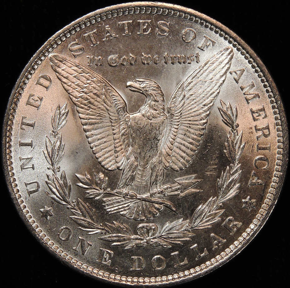 1889-Morgan-For-Grading.--Tia