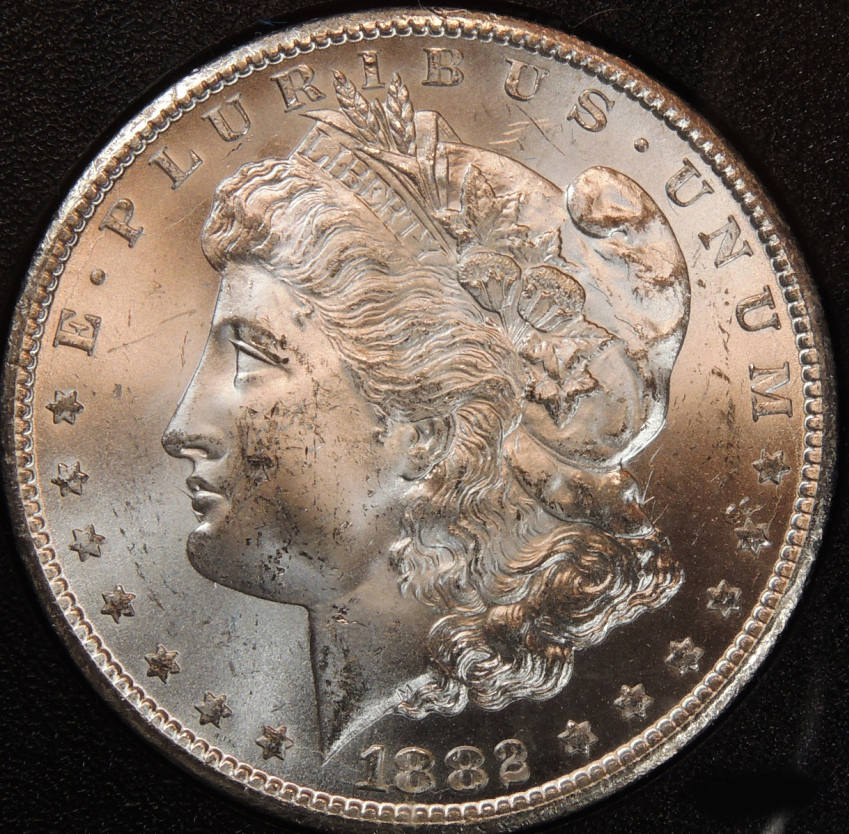 1882-CC-GSA-In-GSA-Holder