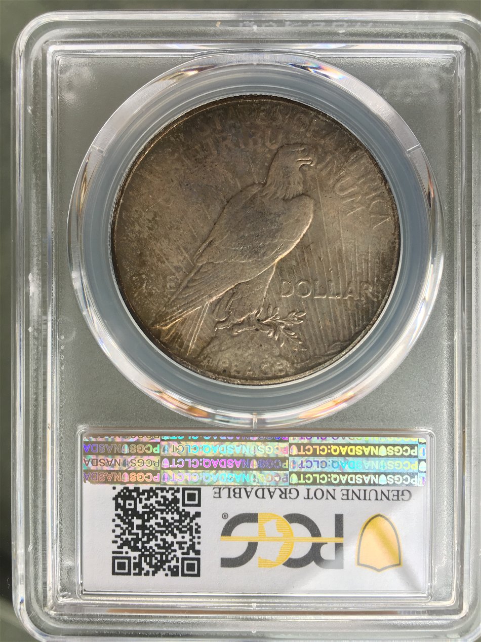 Natural-Or-Artificial-Toning-On-This-1928-Peace-Dollar?