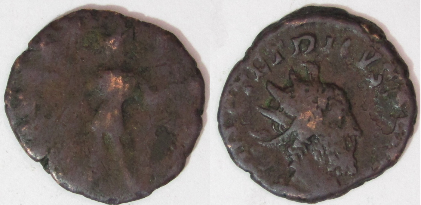 Tetricus-I---Help-With-Reverse-ID-Please