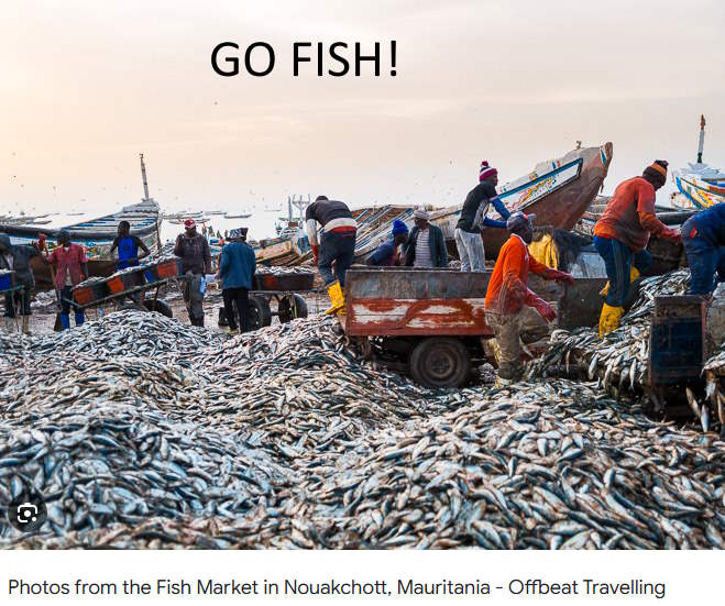 Yet-Another-Forum-Game---Numismatic-Go-Fish!