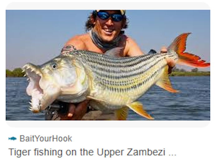 Yet-Another-Forum-Game---Numismatic-Go-Fish!