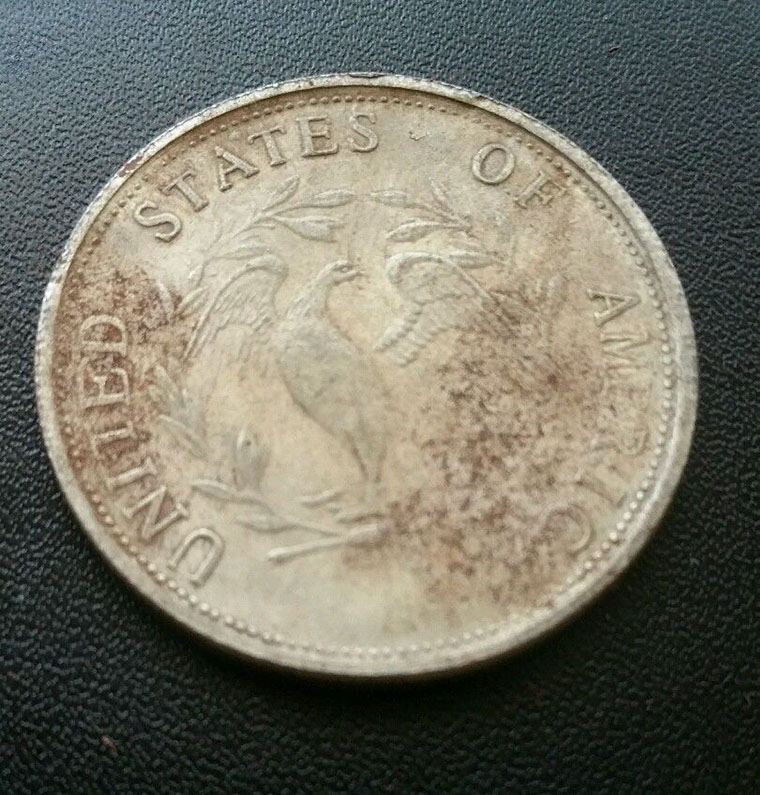 Counterfeit-1795-Flowing-Hair-Dollar---Nattura-Sd