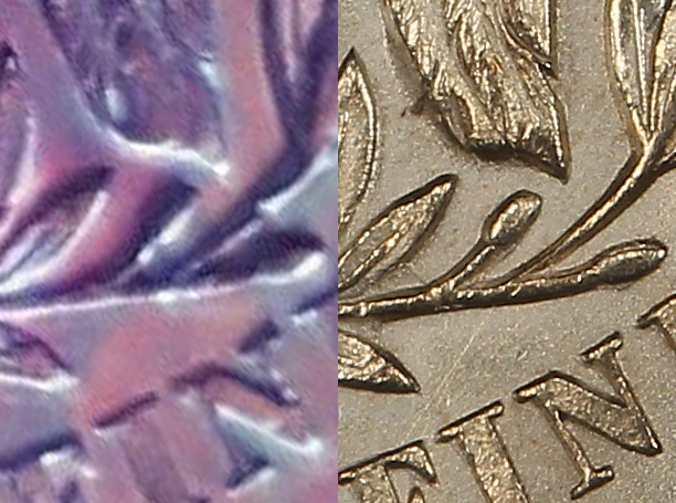 Counterfeit-1874-CC-Trade-Dollar---Endtimesguy