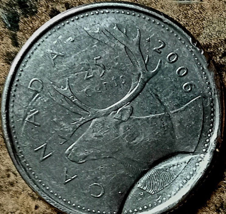 Partial-ClipsS-On-2006-P-Quarter----Some-Post-Mint---Some-At-Mint?