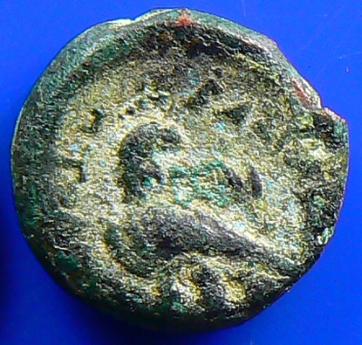 Possible-Cleopatra-VII-Coin?