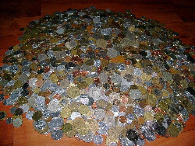 What-Is-In-Your-Collection-?