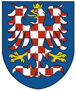 A-Daily-Czech