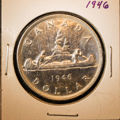 Silver-Dollar-Advice