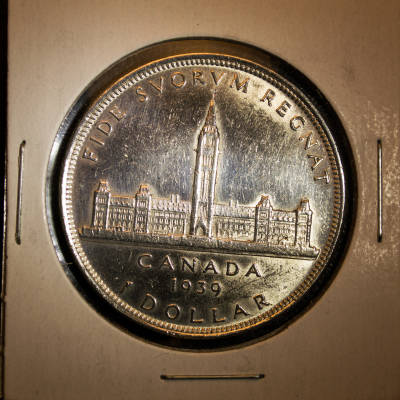 Silver-Dollar-Advice