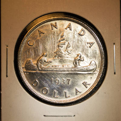 Silver-Dollar-Advice