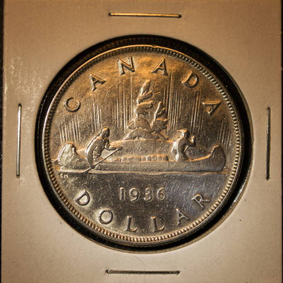 Silver-Dollar-Advice