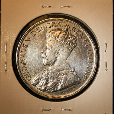 Silver-Dollar-Advice