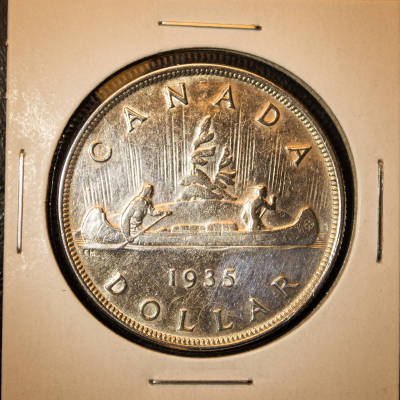 Silver-Dollar-Advice