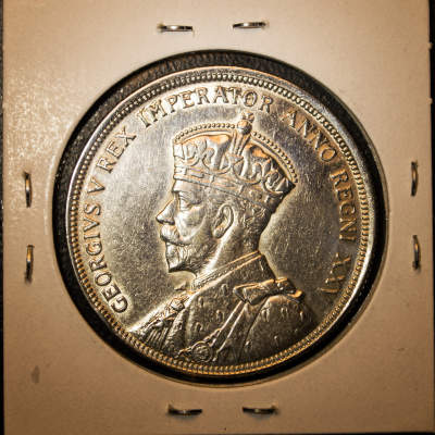 Silver-Dollar-Advice