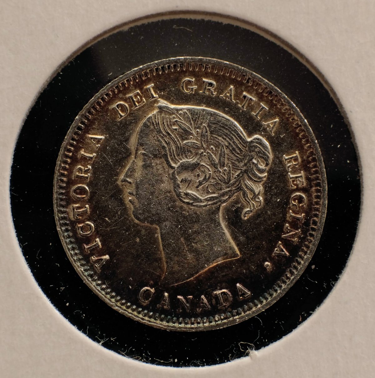 Post-Your-Most-Recent-Canadian-Coin-Purchases!