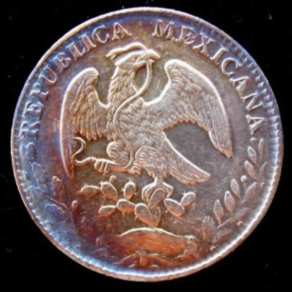 1883-Durango-8-Reales.