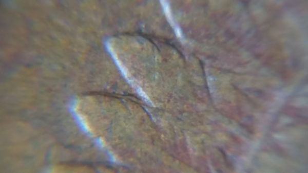 1882-IHC-Double-Die?-Machine-Double?