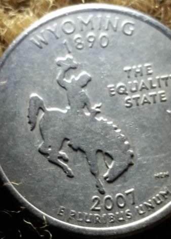 2007-Wyoming--Horse-Has-Extra-Knee