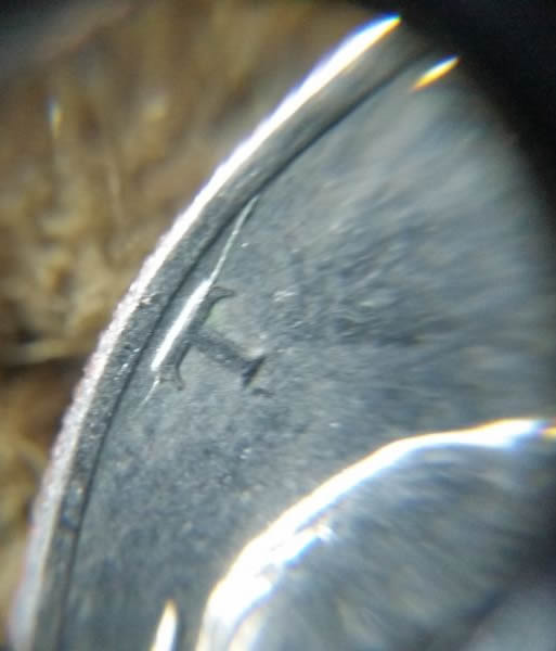 1971-D-Half-DDO-013-?