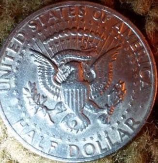1980-PMD?