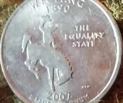 2007-Wyoming--Horse-DDR-Variety