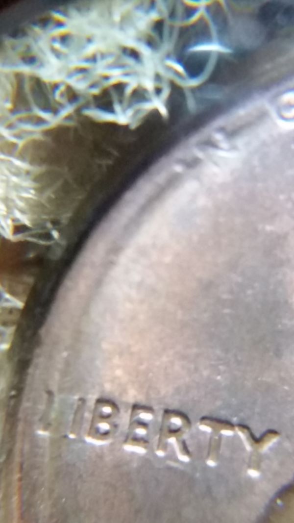1987-PMD?