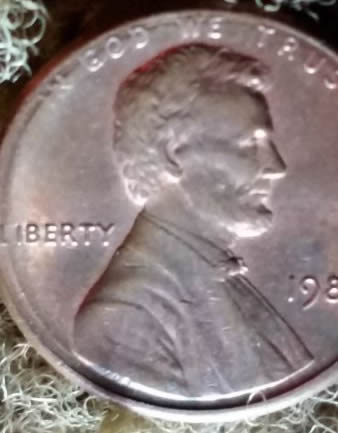 1987-PMD?