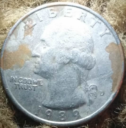 1989-Quarter.-Lamination?-Environment?