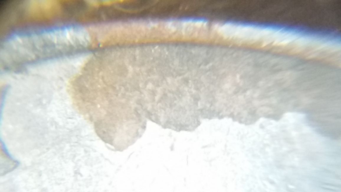 1989-Quarter.-Lamination?-Environment?