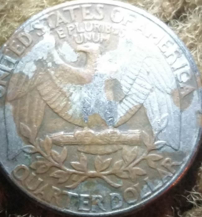 1989-Quarter.-Lamination?-Environment?