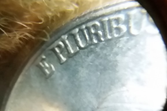 1998-P-Jefferson-Nickel-Hub-Doubling?-I-Really-Dont-Know