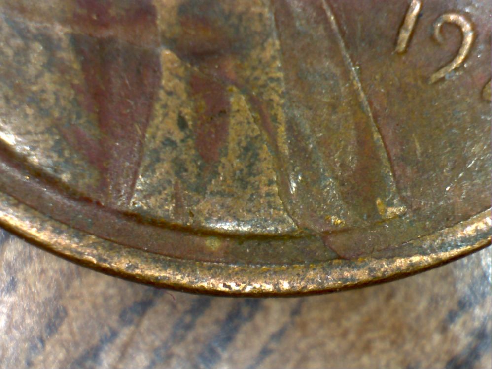 1971--Penny-Is-This-Retained-Cud-?