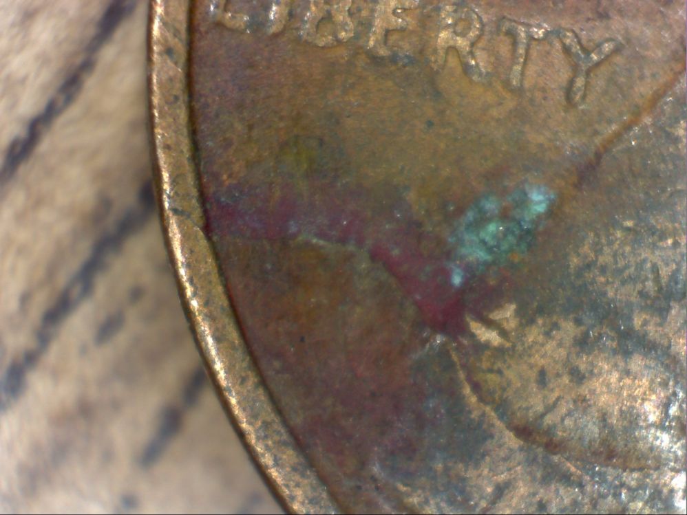 1971--Penny-Is-This-Retained-Cud-?