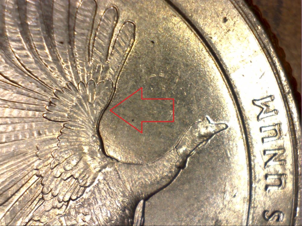 2015-Kisatchie-Quarter-DDR?